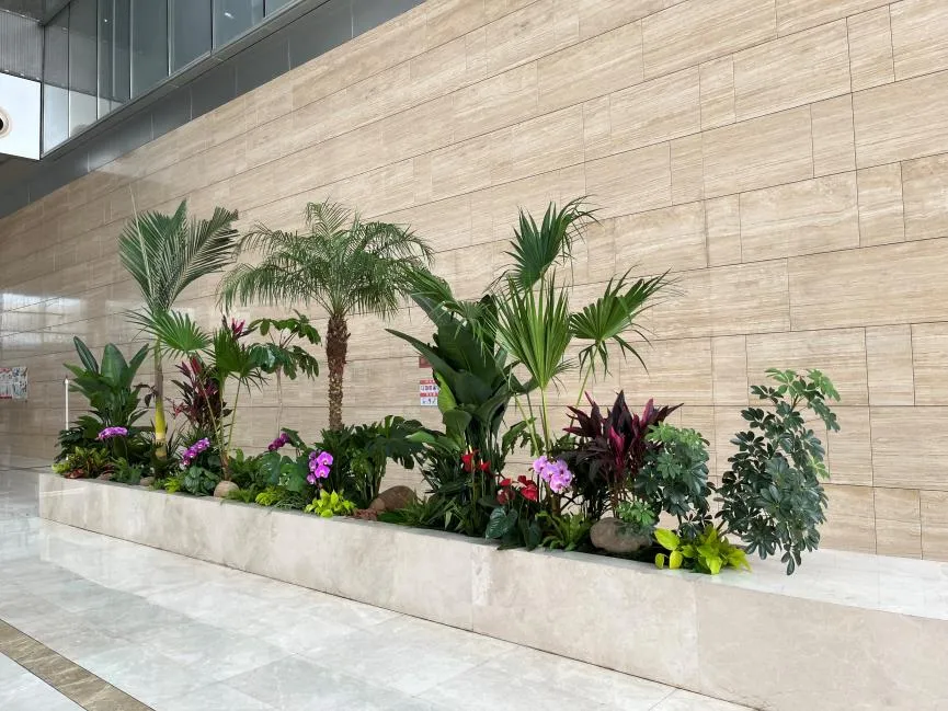 宁波慈溪花卉租摆价格大揭秘，你知道多少？